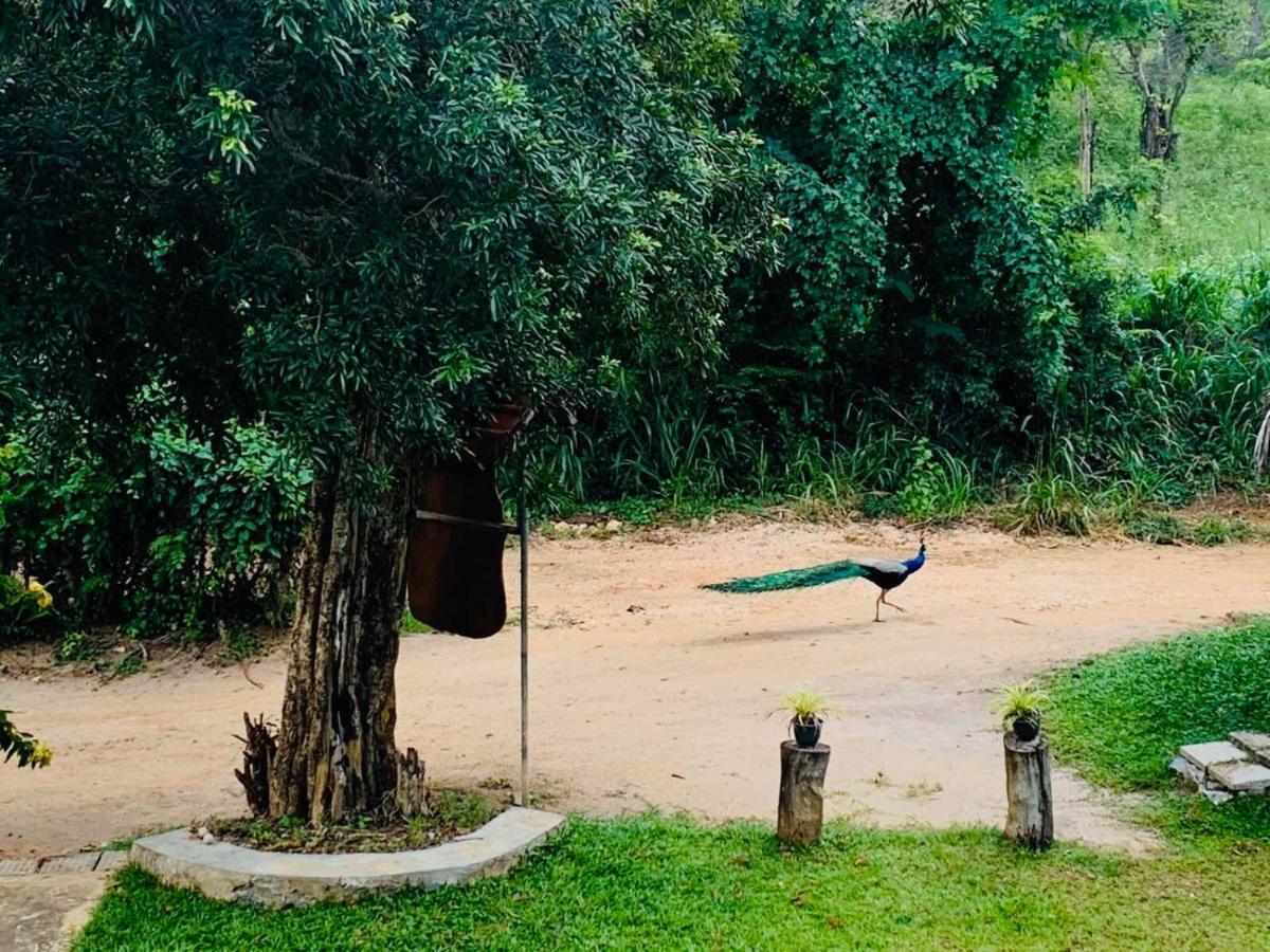 Sigiriya Rock Hide Hotell Exteriör bild