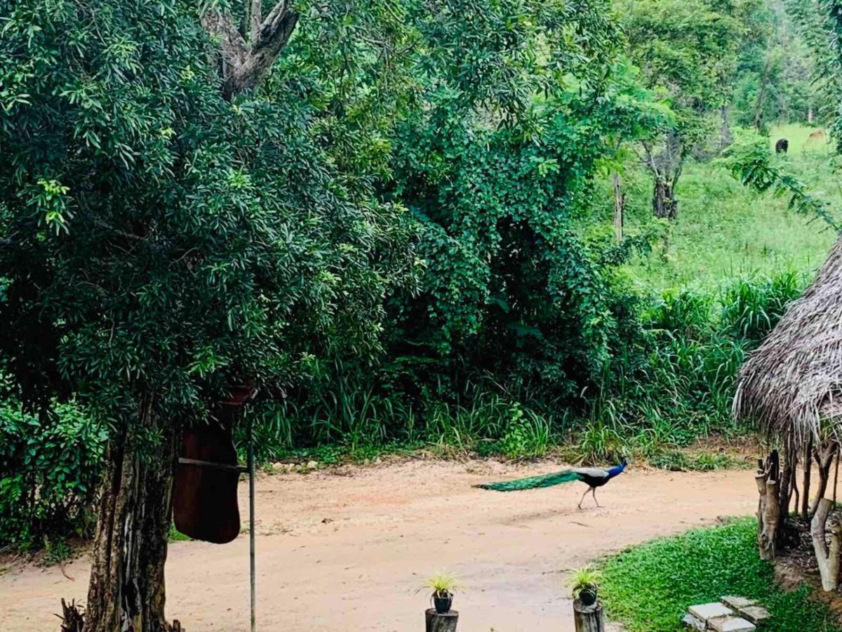 Sigiriya Rock Hide Hotell Exteriör bild